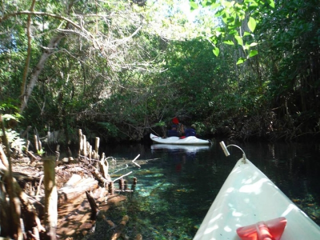  ROTAS NO PRAIAS E MANGROVES 